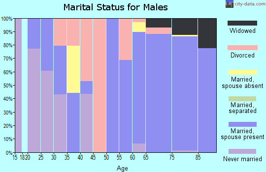Zip code 38558 marital status for males