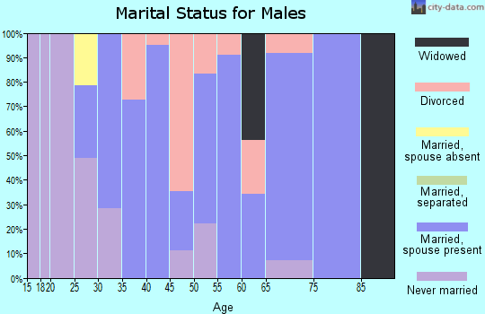 Zip code 38560 marital status for males