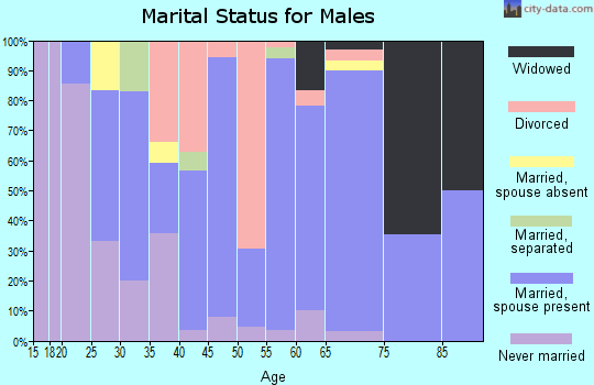 Zip code 38563 marital status for males
