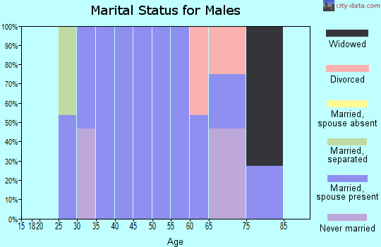 Zip code 38567 marital status for males
