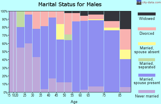 Zip code 38574 marital status for males