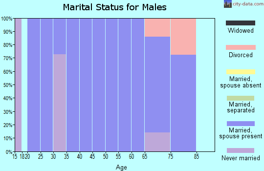 Zip code 38575 marital status for males