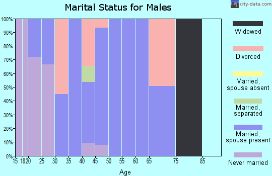 Zip code 38580 marital status for males