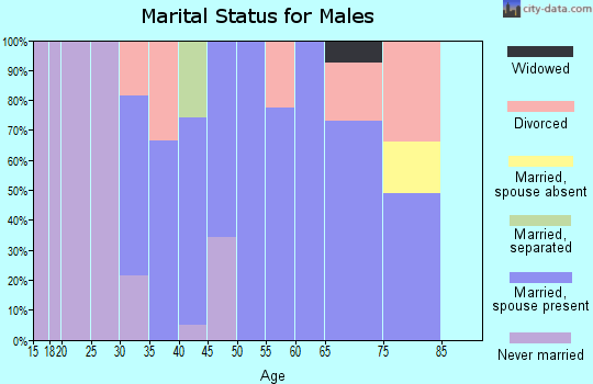 Zip code 38582 marital status for males