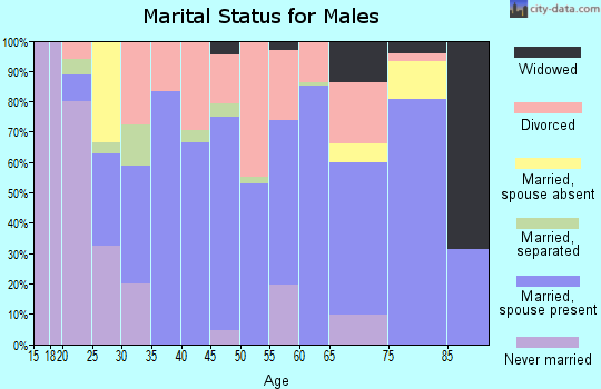 Zip code 38585 marital status for males
