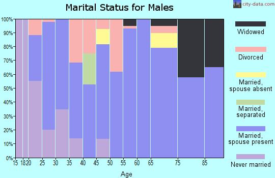 Zip code 38650 marital status for males
