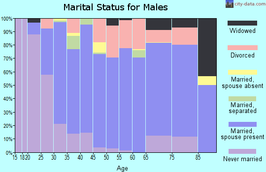 Zip code 38663 marital status for males