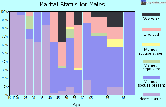 Zip code 38666 marital status for males