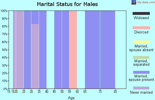 Zip code 38674 marital status for males