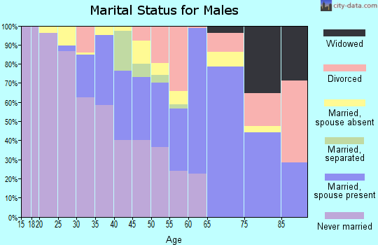Zip code 38676 marital status for males