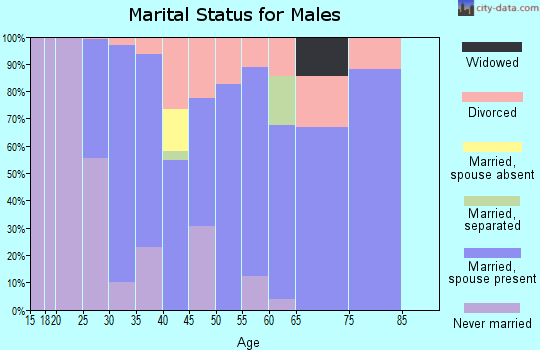 Zip code 38680 marital status for males