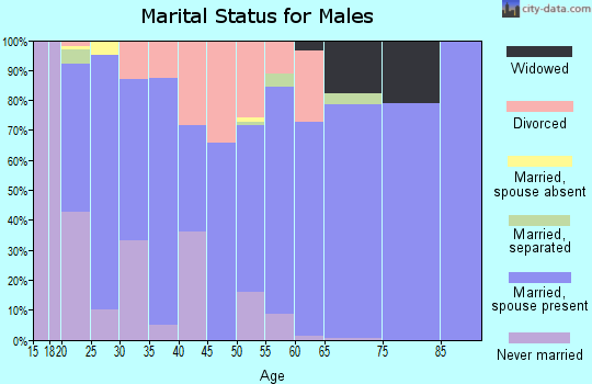Zip code 38683 marital status for males