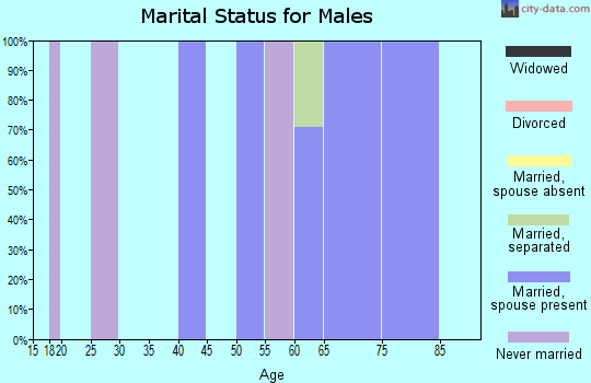 Zip code 38685 marital status for males
