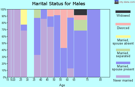 Zip code 38725 marital status for males