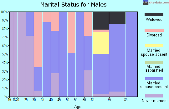 Zip code 38730 marital status for males