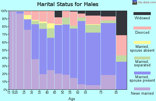 Zip code 38732 marital status for males
