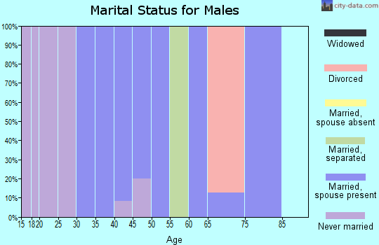 Zip code 38736 marital status for males