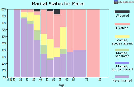 Zip code 38738 marital status for males