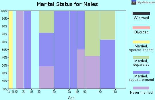 Zip code 38739 marital status for males