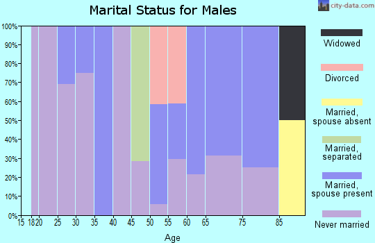 Zip code 38740 marital status for males