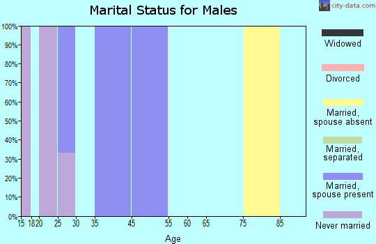 Zip code 38758 marital status for males