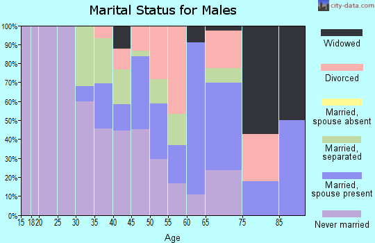 Zip code 38762 marital status for males