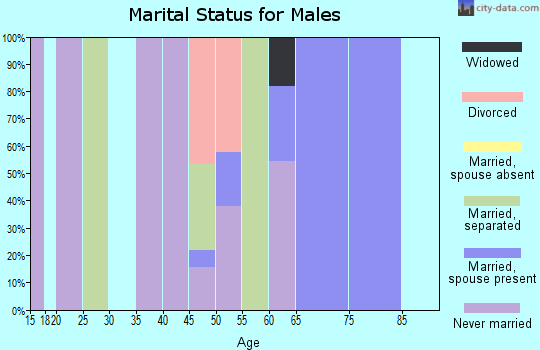 Zip code 38764 marital status for males