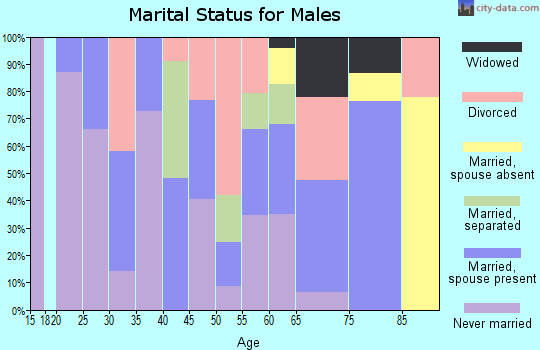 Zip code 38771 marital status for males
