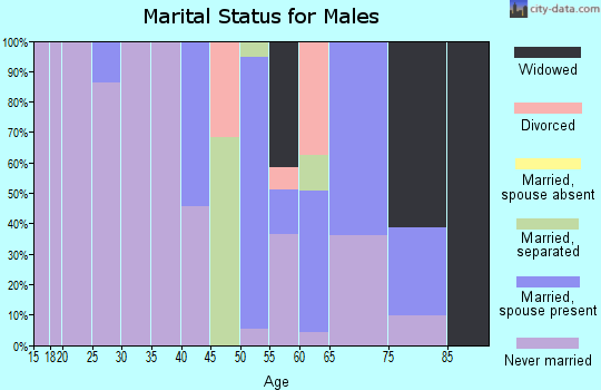 Zip code 38774 marital status for males
