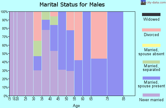 Zip code 38778 marital status for males