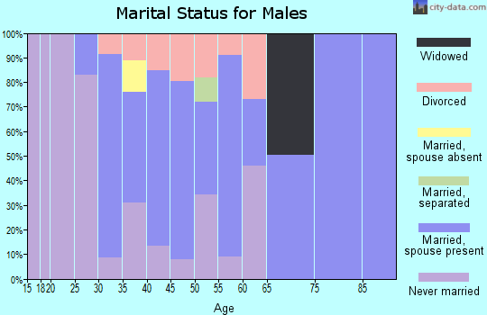 Zip code 38826 marital status for males