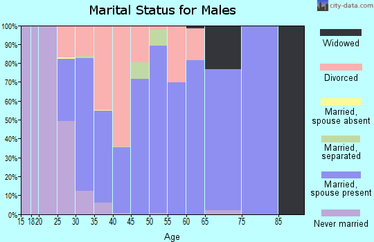 Zip code 38828 marital status for males