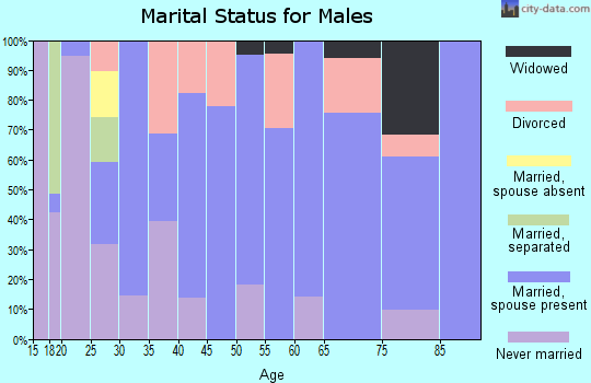Zip code 38833 marital status for males