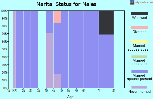 Zip code 38838 marital status for males