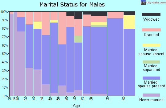 Zip code 38843 marital status for males