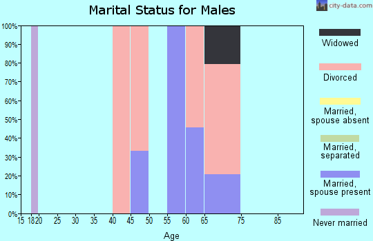 Zip code 38844 marital status for males