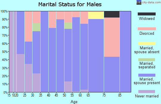Zip code 38846 marital status for males