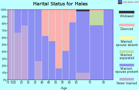 Zip code 38847 marital status for males