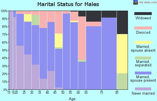 Zip code 38849 marital status for males