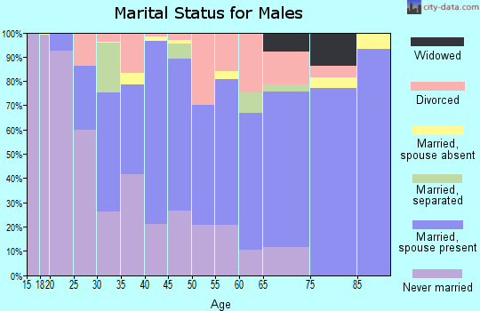 Zip code 38851 marital status for males