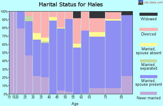 Zip code 38852 marital status for males