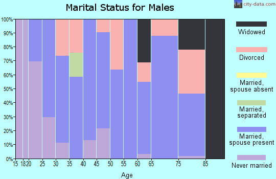 Zip code 38855 marital status for males