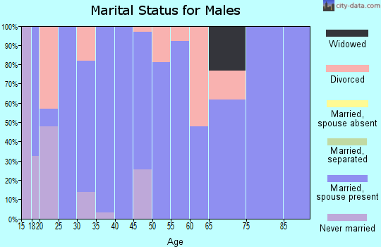 Zip code 38856 marital status for males