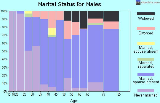 Zip code 38858 marital status for males