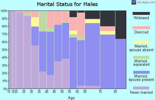 Zip code 38860 marital status for males