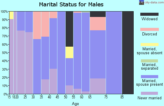 Zip code 38862 marital status for males