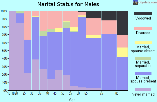 Zip code 38863 marital status for males