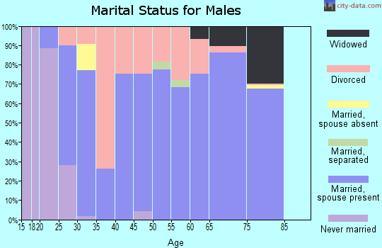 Zip code 38865 marital status for males