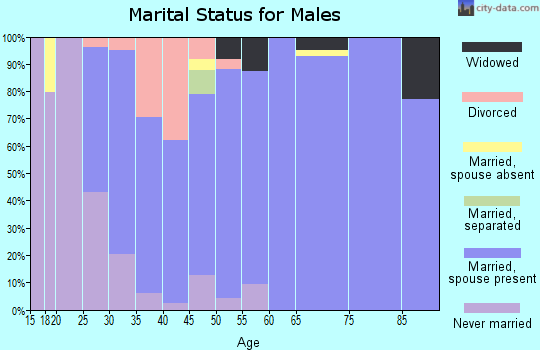 Zip code 38866 marital status for males