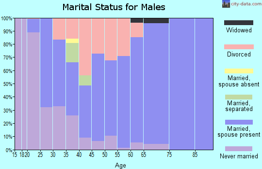 Zip code 38868 marital status for males
